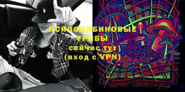 соль ск Балахна