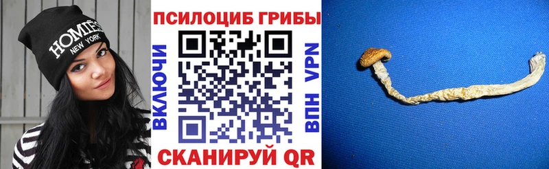 Псилоцибиновые грибы Magic Shrooms  Печоры 